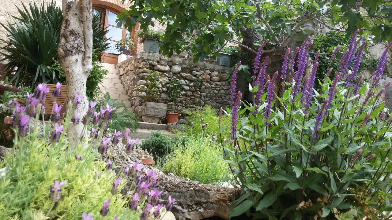 Bed and Breakfast L'Ile Aux Mimosas Tautavel Pokoj fotografie